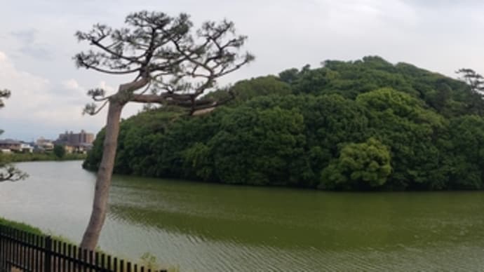 世界遺産　百舌鳥古墳群　伝履中天皇陵ビュースポット