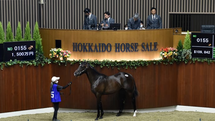 セレクションセール出身馬【ウルトラノホシ(Ultra no Hoshi)】が「栄城賞(3歳重賞)」を優勝