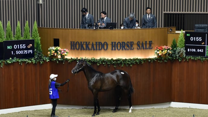 セレクションセール出身馬【ウルトラノホシ(Ultra no Hoshi)】が「佐賀皐月賞(3歳重賞)」を優勝