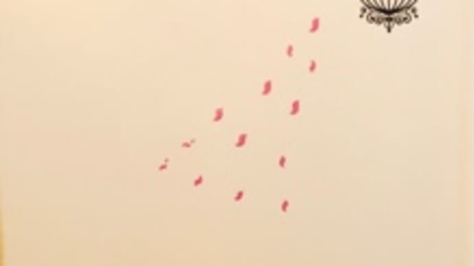 ノン子の行動🐈⬛