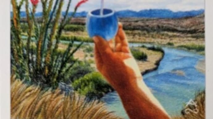 Adelita Of Water ( page of cup )
