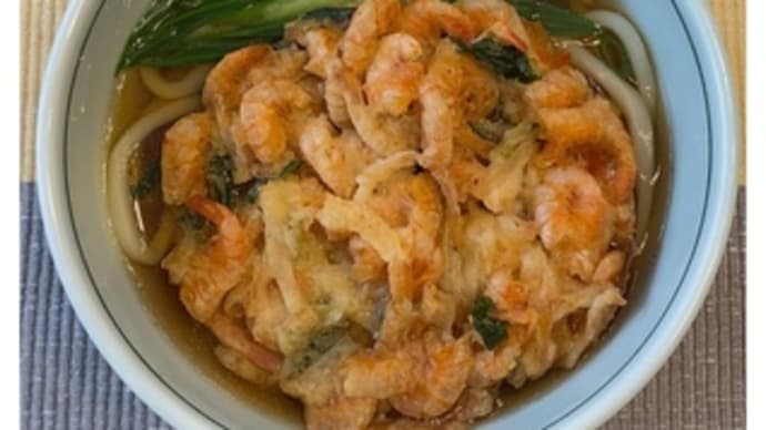 ごまめ自家製うどん・996~2023.10.04