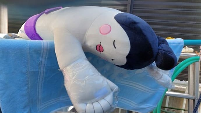 だいふく山 天日干し 24/1/26