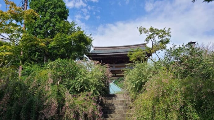 海蔵寺とカフェ「コトノハ」さん~友人とお出かけ