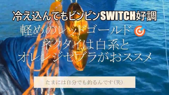 冷え込んでもビンビンSWITCHで短時間釣行🎣上昇目指すならユニットは自作するべし🤔
