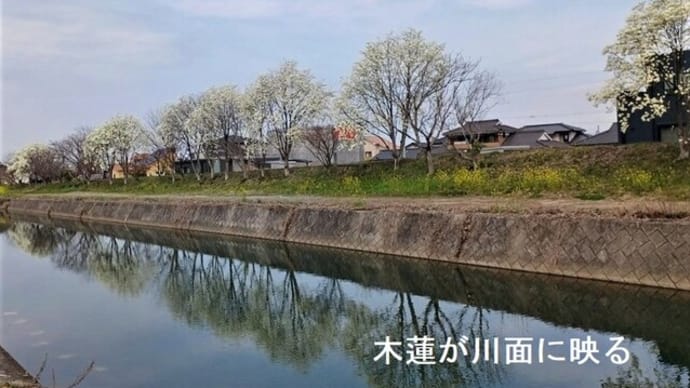 「船が来ている・・・」