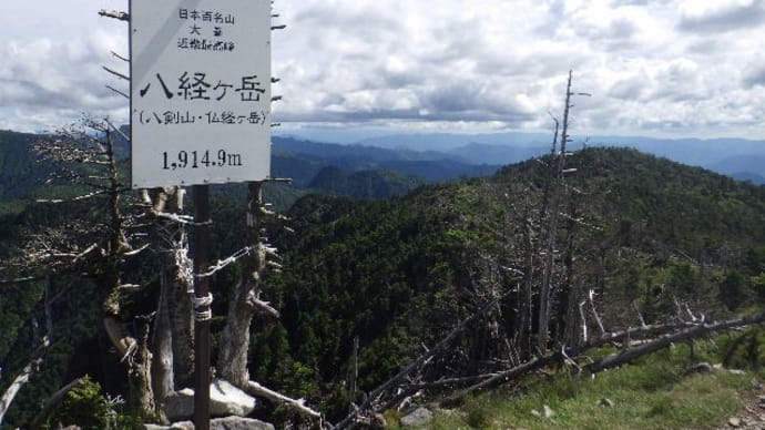 2022年7月2日(土)　[大峰]八経ヶ岳、暑い暑い登山と、食害がひどいオオヤマレンゲ!!