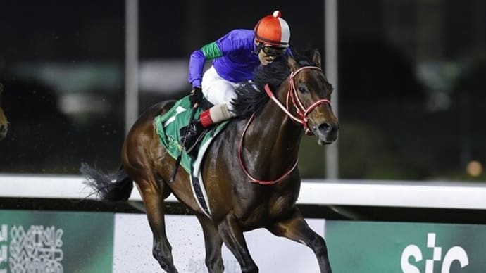 【パンサラッサ】厳しいレースのあと、さすがに少しお疲れ気味(^^;)