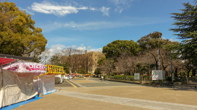 明日 3/20 開幕!「鶴舞公園さくら祭り!」…準備万端!咲いてないけど!!