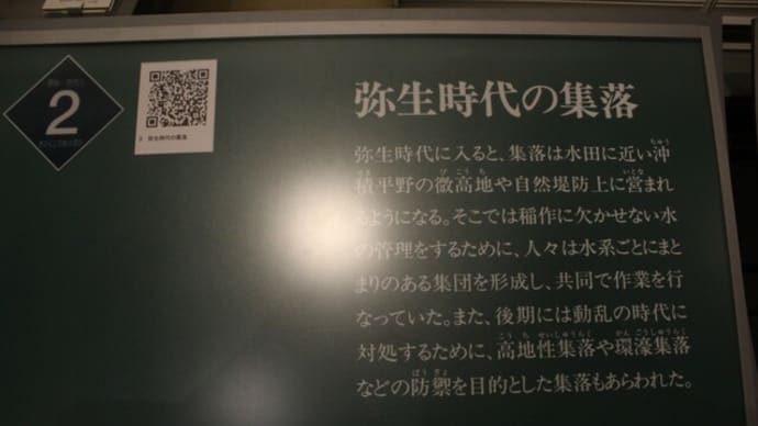 和歌山県立博物館(3)