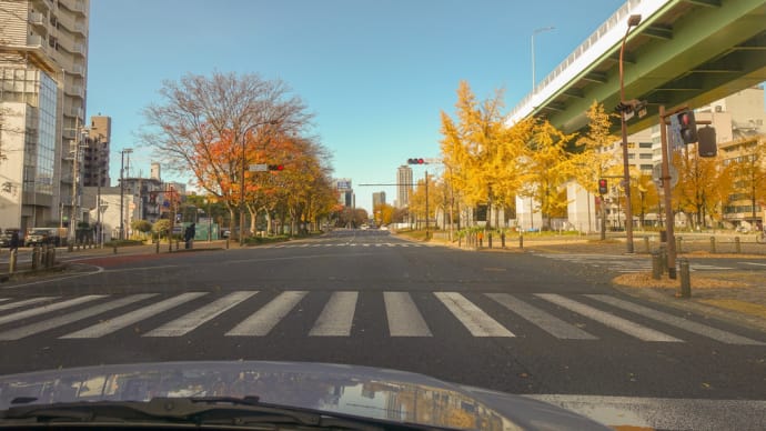 こんなに天気が良いのに…