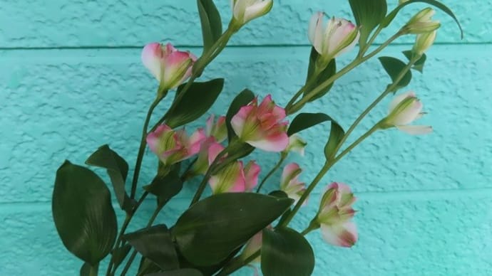一瞬「造花?」と思うほどつややかな葉
