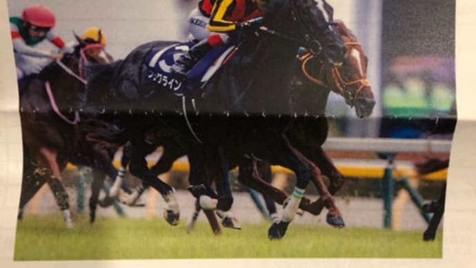 ソングライン、津村騎手で追い切り