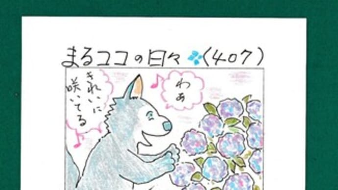 まるココの日々(407)