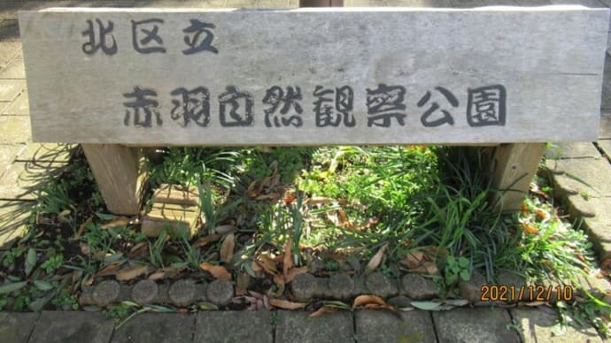買い物前に赤羽自然観察公園に寄り道