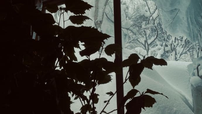 ああこの豪雪 妻の一周忌