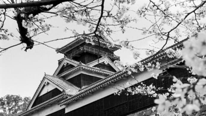 フィルムスキャンしたモノクロ写真集(11)