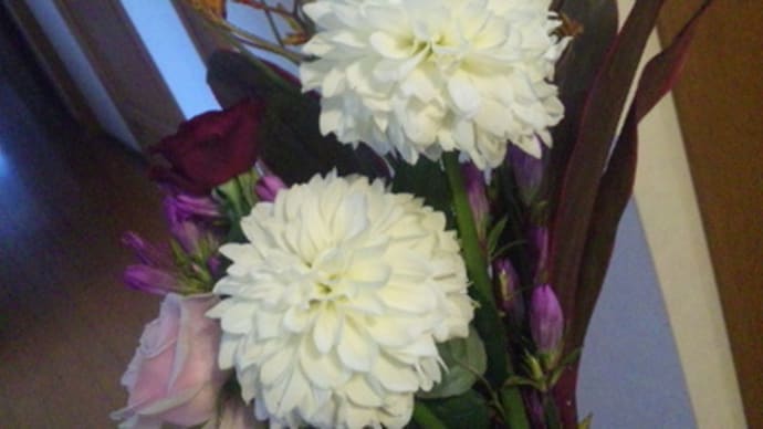 久しぶりにお花げっと♪