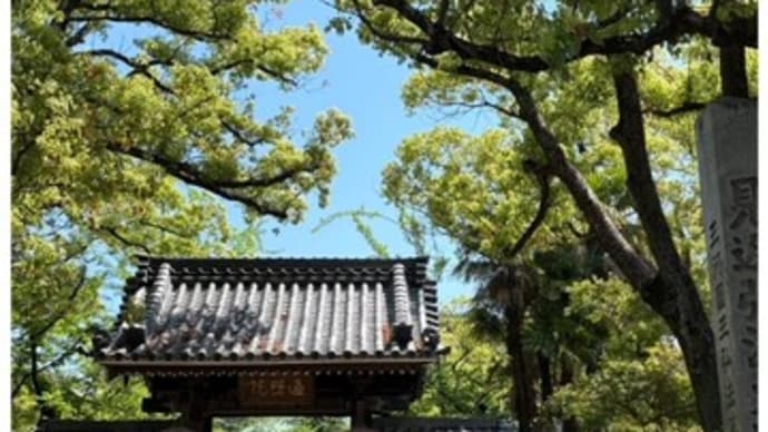 月あかりの道*最終開催でした