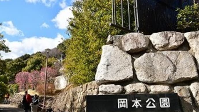 岡本公園 の 梅 '22