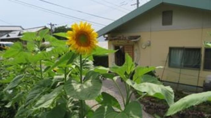 天気も良く……