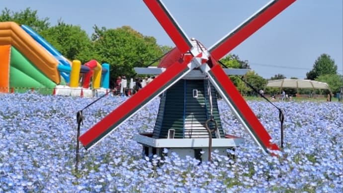 笑顔の花びら集まる日に向けて⑤