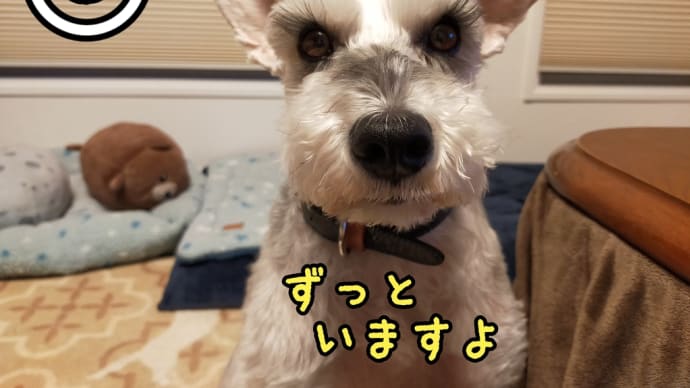 これからもずっと一緒にいてくれる?