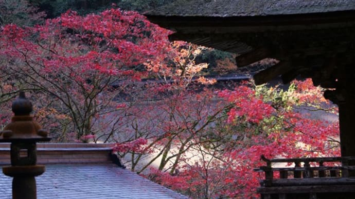 横藏寺の紅葉