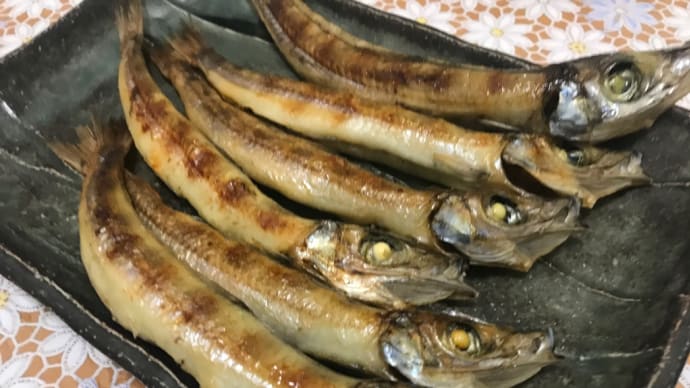 日本海方面に行くと必ず購入!