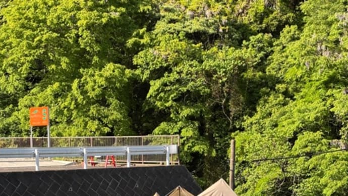 mamuro camp base