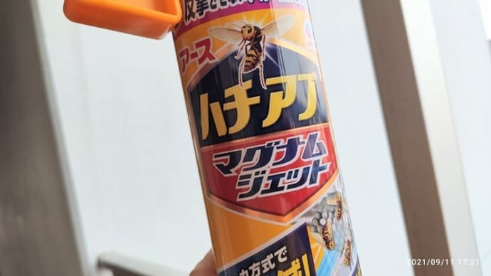 【ハチの巣】駆除完了