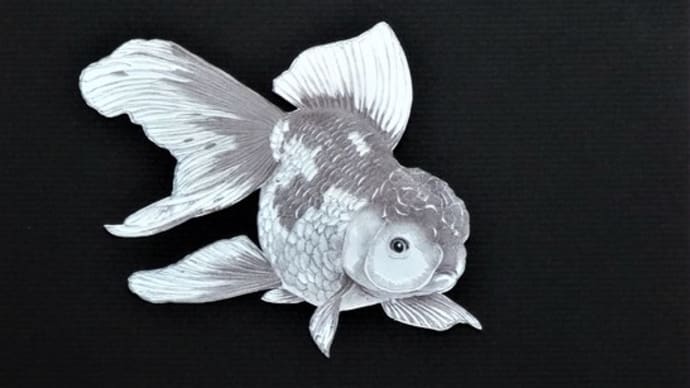リアル切り絵 「金魚」 色紙サイズ