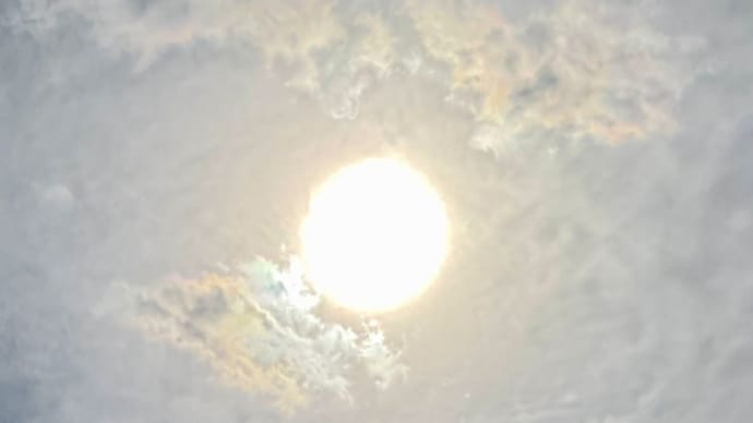 我が家の春。。 その①