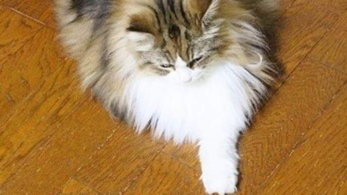 撮り逃げできず…^^;