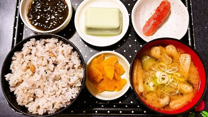家で朝ご飯(十六穀ごはんに辛子明太子、わさび豆腐、もずく酢、茄子と椎茸のみそ汁、九州ふる漬)(2024年4月24日)