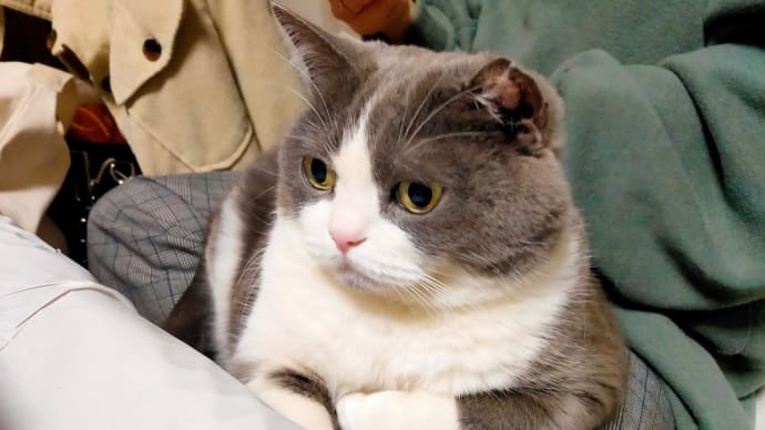 次の人生に向けて