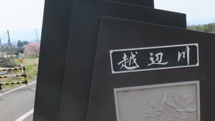 北浅羽桜堤公園