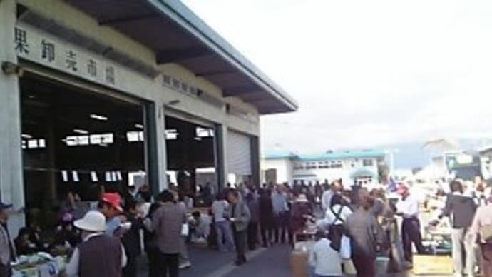 市場開放日