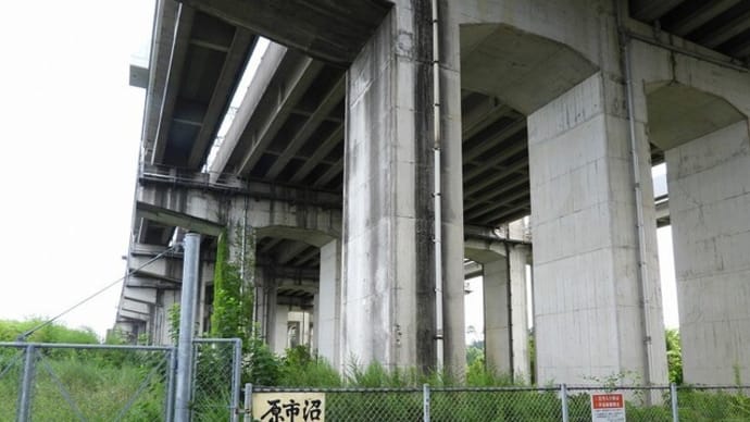 20240803-04 上尾・大宮~小石川植物園