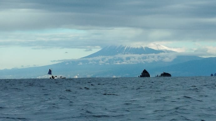 海の中はカラフル🐟🐠🐡