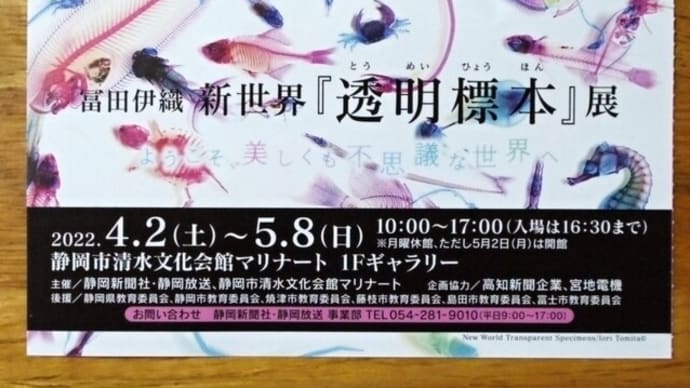 冨田伊織 新世界『透明標本』展 その3