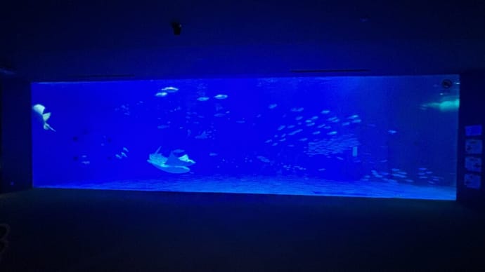 また来ます いおワールドかごしま水族館