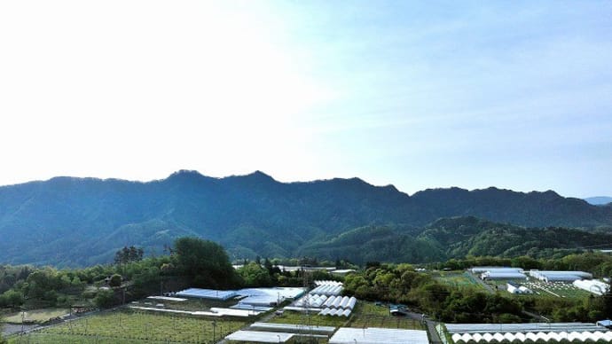 生坂村ぶどう栽培の成り立ち&マイクログリッド構築&端午の節句