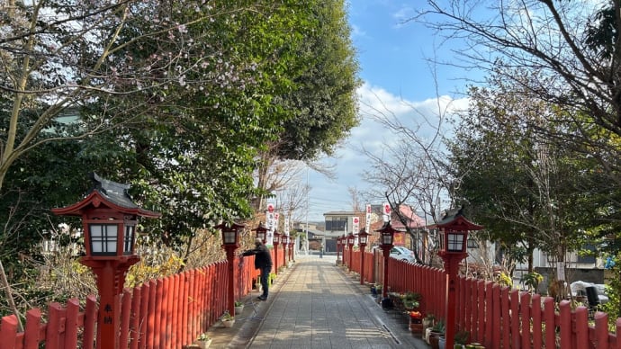 目も腰の痛みも治る川越八幡宮へ御参り