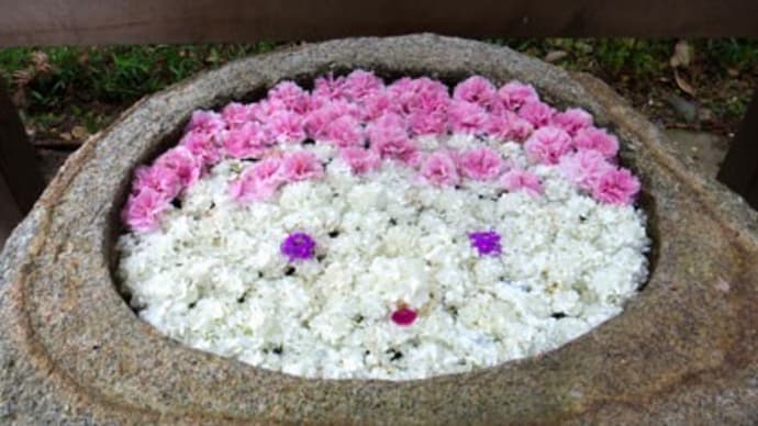 大井神社の花手水と参道の花