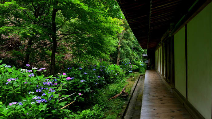 浄瑠璃寺　（京都府木津川市加茂町）　２