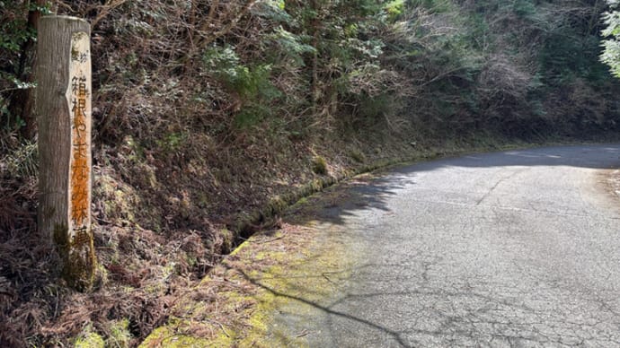 秘境「箱根やまなみ林道」はちょっと拍子抜け【勝手にBRM331あおば200km箱根】その2