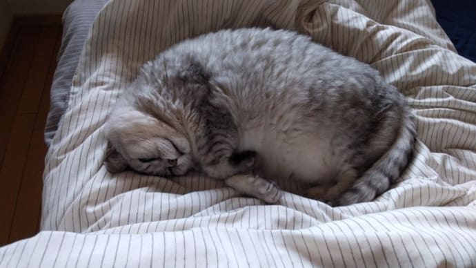 ちょっとだけね