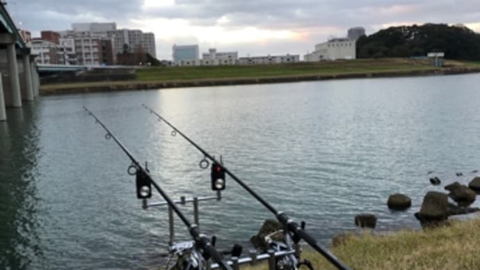 12月30日の鯉釣り