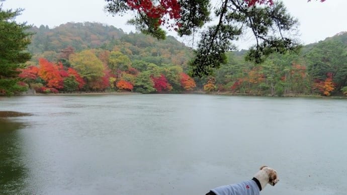 雨の再度公園にて。